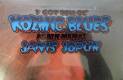 Janis Joplin: I Got Dem Ol' Kozmic Blues Again Mama!  | фото 5