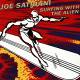 Satriani, Joe - Surfing With The Alien CD | фото 1