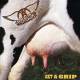 Aerosmith - Get A Grip CD | фото 1
