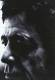 Lou Reed - Spanish Fly  | фото 2