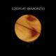 Coldplay - Parachutes LP | фото 1