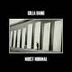 Gilla Band: Most Normal LP | фото 1