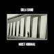 Gilla Band: Most Normal CD | фото 1