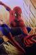 Danny Elfman: Spider-man  | фото 13