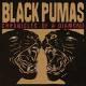 Black Pumas: Chronicles Of A Diamond CD | фото 1