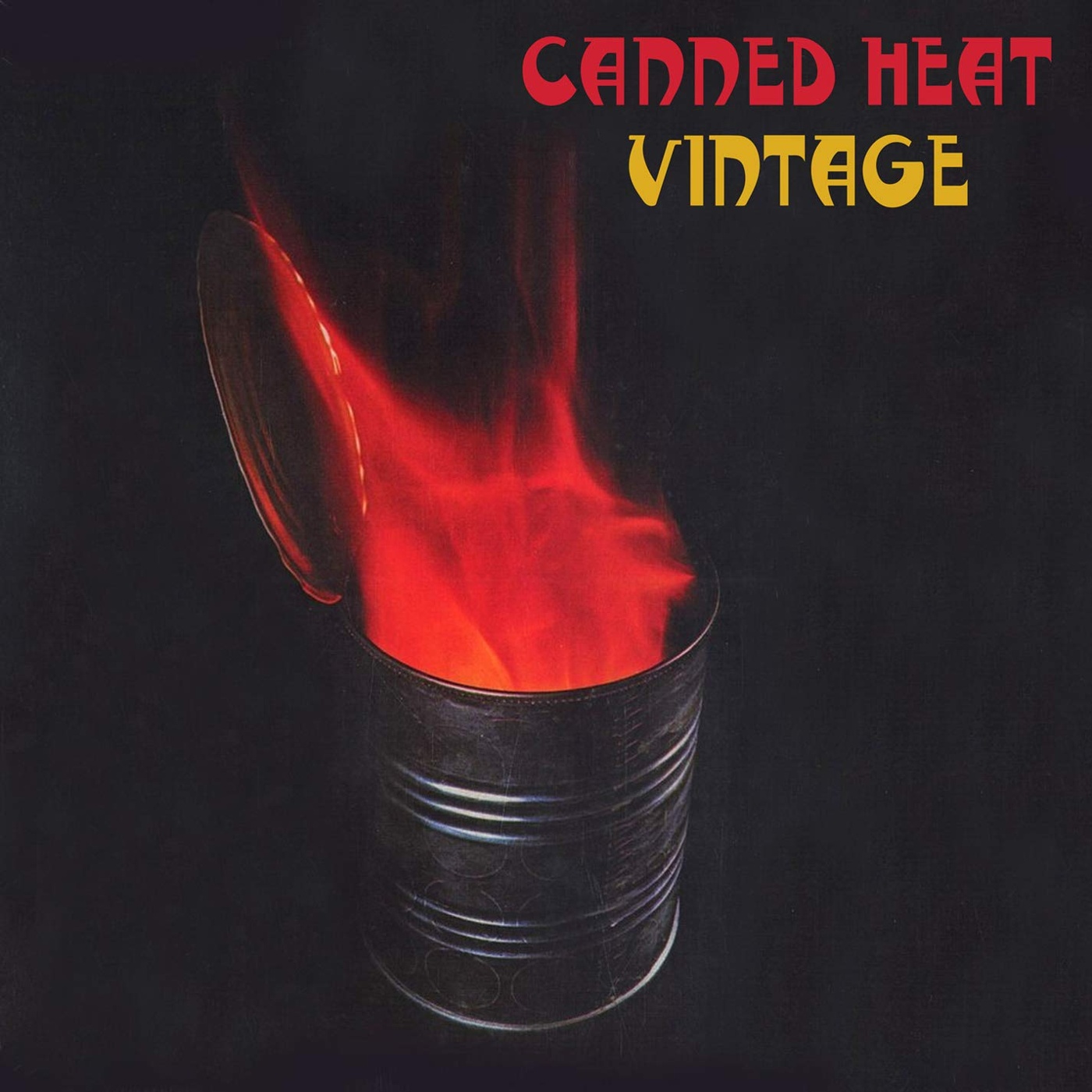 Canned heat steam фото 103