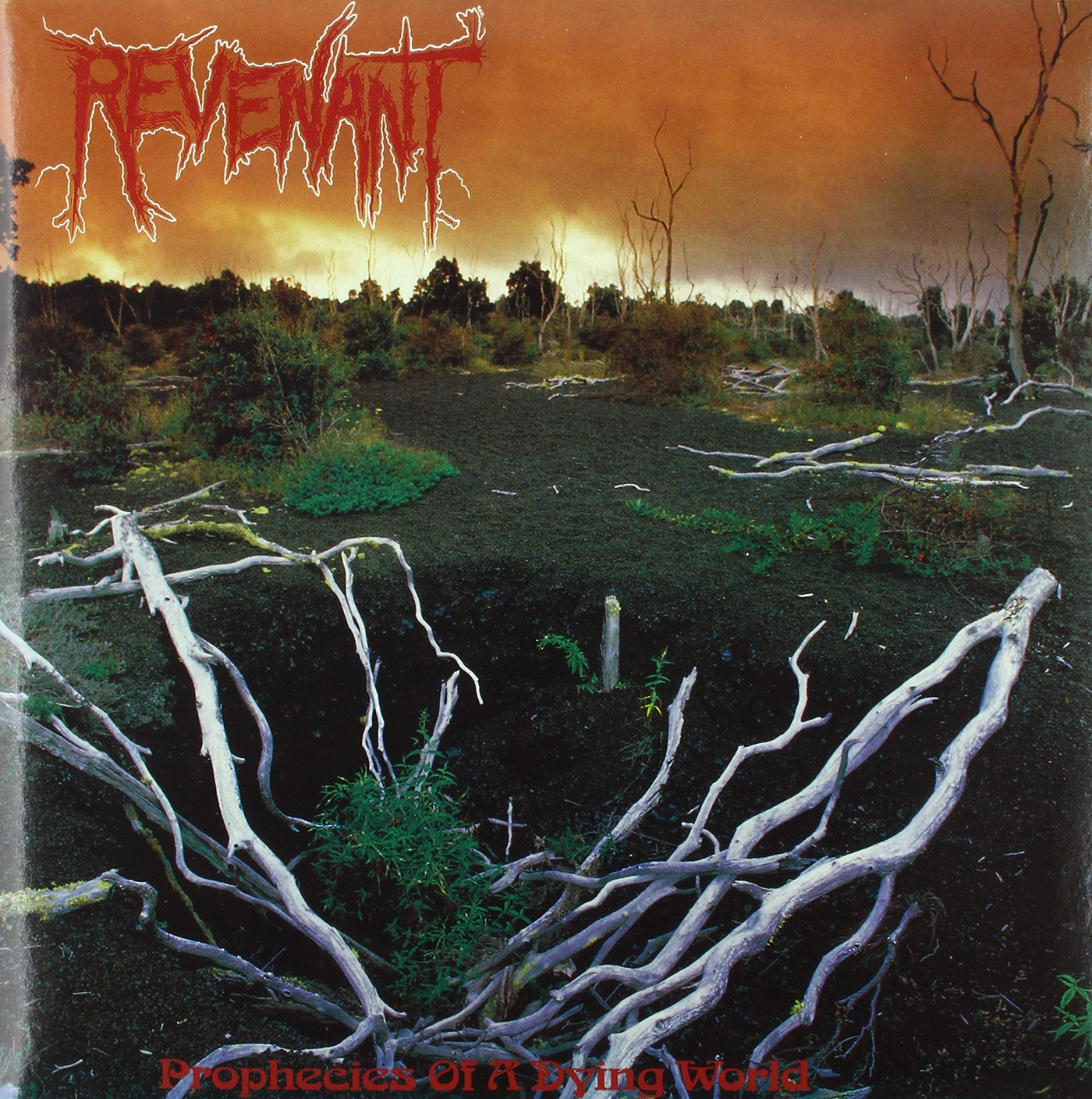 Последний трэш. Revenant Prophecies of a Dying World. Revenant [1991] Prophecies of a Dying World. Revenant Band. Dead Metal редкие пластинки.