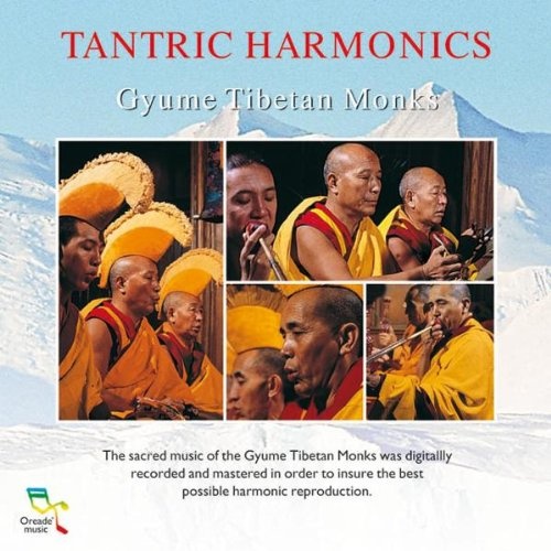 Тибетские горловые монахи. Горловое пение тибетских монахов. Горловое пение монахов в буддизме. Горловое пение тибетских монахов музыка альбом. Tibetan Monks Synthies Music Electronic.