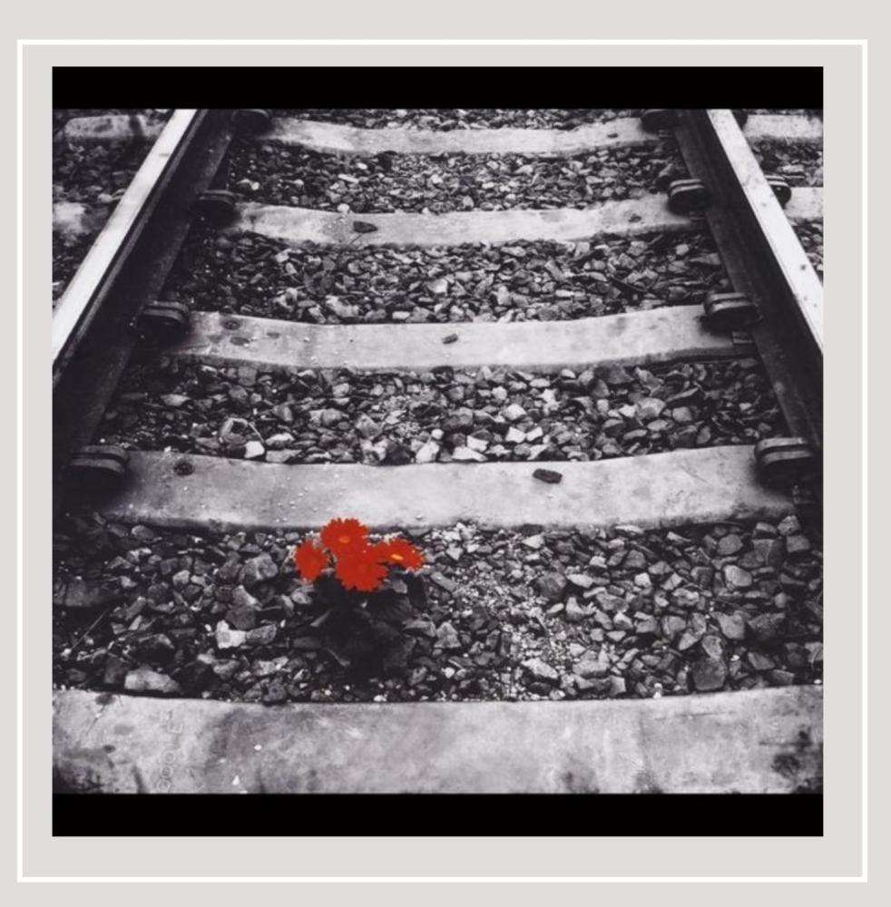 Left on Red. Last tracks. Left track