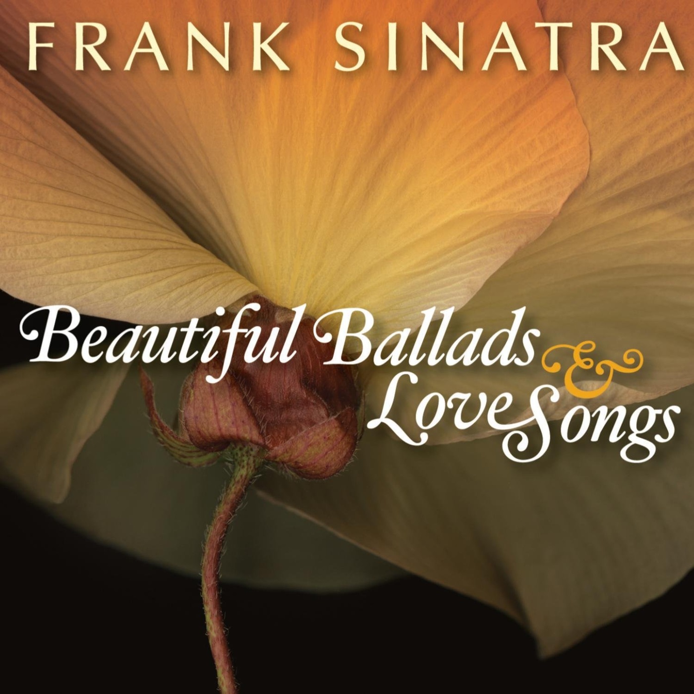Beautiful Ballads. Frank Sinatra Songs. Tommy Dorsey - Stardust on the Moon album картинки. Ballad Songs.
