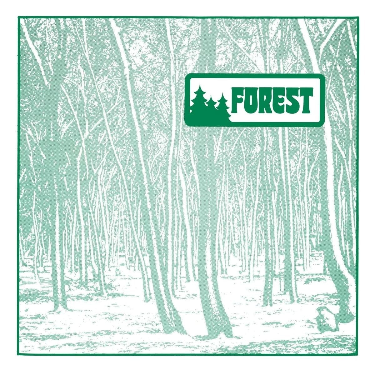 Обложка лесная. The Forest обложка. Форест 2023. Обложка альбома лес. The Forest 2023.