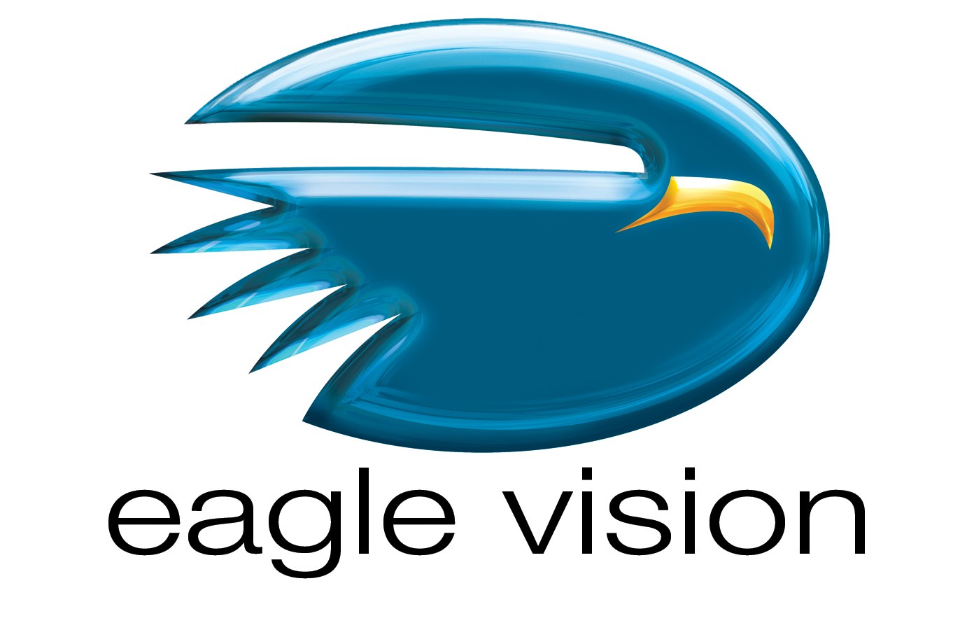 Eagle Vision. Игла лейбл. Эмблема игл Вижион. Eagle Rock Entertainment logos. Игл организация
